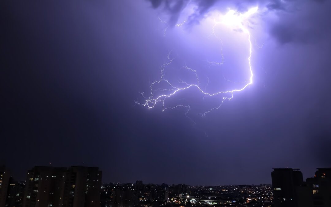 Be Prepared If A Tree Falls On Your Home