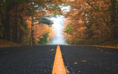 Fall Tree Care