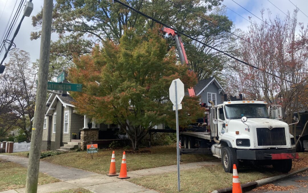 Tree Removal in a Tight Space