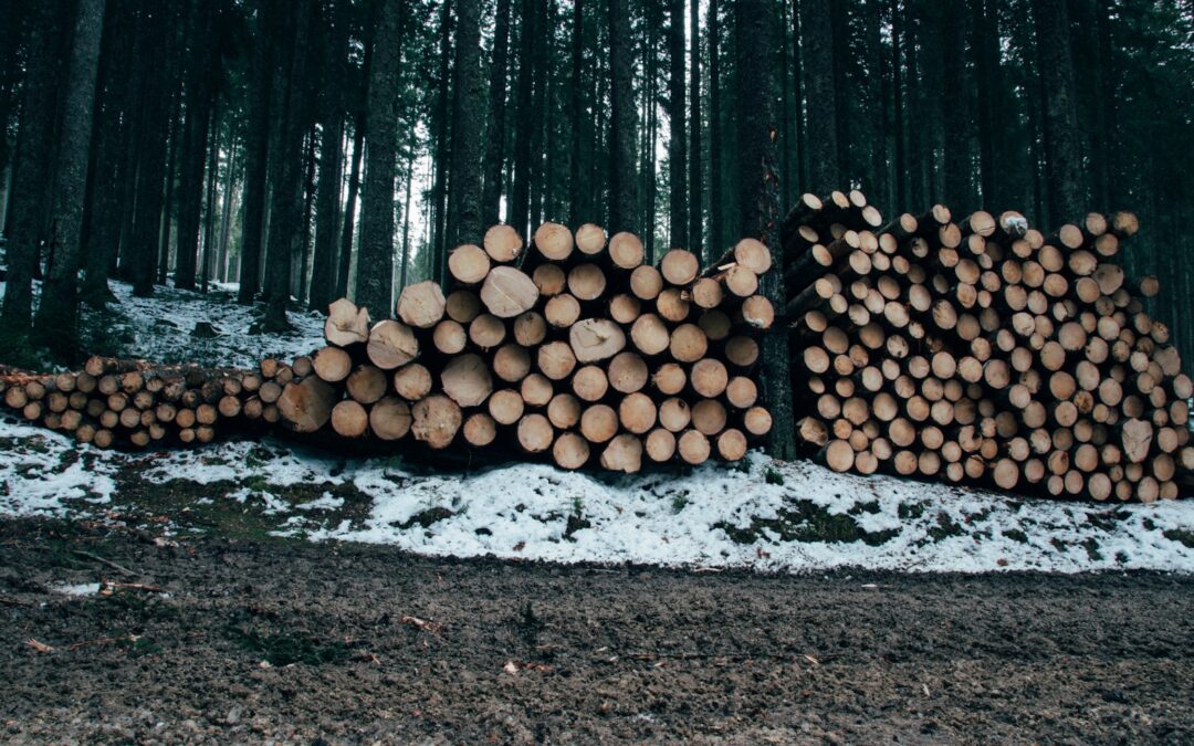 Working with Justin Dugan’s Logging: Questions Landowners and Developers May Have