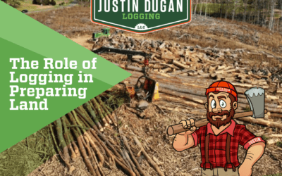 Preparing Your Land for New Construction: Why Logging Matters