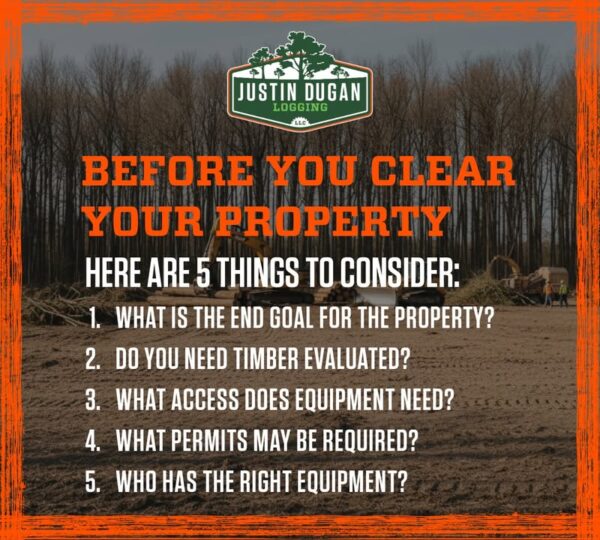 Before You Clear Your Property, Take a Step Back and Plan. Property clearing is more…