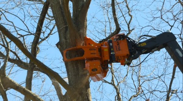 Video by Justin Dugan's Logging, LLC